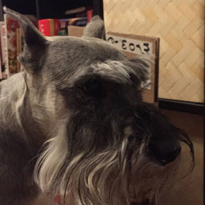 Meet your Posher, Dudek